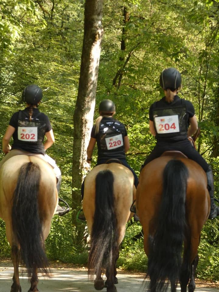 Photo balade à cheval